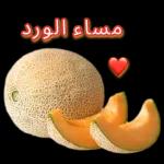 مطرنا بفضل الله ورحمته