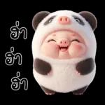 หมูแพนด้าน่ารักจังเลย