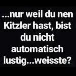 lustige 