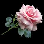 Un abrazo grandotooote para ti