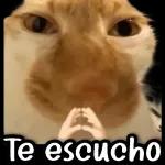 Amorrrrrr de mi vidaaaaaaa, dondeeeeeeeeeee estassssssss?