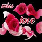 i give you all the stars can⭐️⭐️⭐️