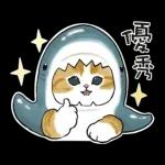 鯊魚貓咪 2
