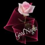 I don't miss you because...😘😘