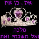 יאיר רומר כאור החמה