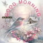 good morning
