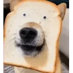 мои стикеры