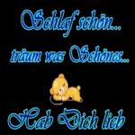 Gute Nacht bis Morgen💖