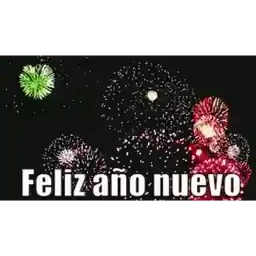 Felices Fiestas Navideñas