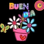 Hola delicia
