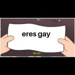 eres gay
