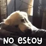 No estoy