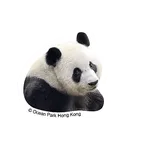 香港海洋公園 - 《大熊貓安安可可日常篇》