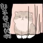 愛撒嬌的奶油小生 (虎斑貓)