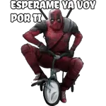 Como tú digas patrona