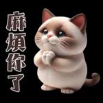 可愛暹羅貓的日常