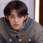 seventeen表情管理2 :: @fStikBot