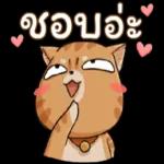 แย่วันนึง..มันไม่เป็นไรหรอก