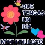 Te amo