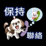 西施迪迪 (日常生活及問候篇)