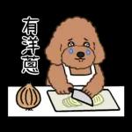 今天好屏友 × DT貴賓俱樂部