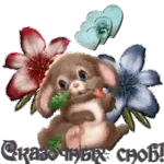 для настроения 🍁🍁💖