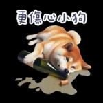 醉酒柴柴✩一醉方休