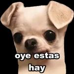 oye estas hay