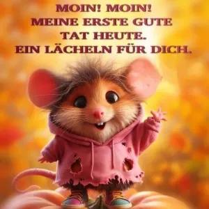 23mqphh