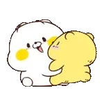 貓咪朋友 可可愛愛