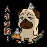 [豆卡频道-声动贴10(茶宝丸日常篇)