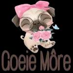 NadiaGoeie Môre