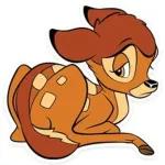 Bambi❤️❤️❤️