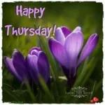 oh my it’s Thursday  now