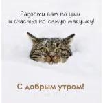 с добрым утром 
