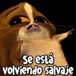 Que horror