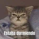 TE AMO 