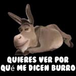 Risas🤣 y mas Risas🙄 nopor🔥