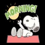 Snoopy: Peanuts (80's)