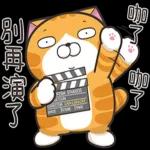 白爛貓53☆超靠北☆