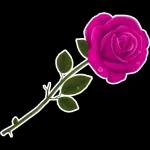 You make me feel like the luckiest person