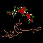 جزاك الله الحسنى وزيادة وسقاك من نهر الكوثر