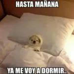 chingas a tu madr#
