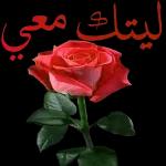 رومنسي