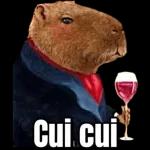 Vamos a investigar 