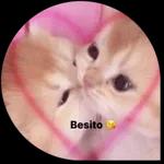Los Betos Pack 1