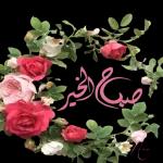 (صب
ناق
لله
لله
صبح الخير