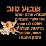 בונד 1