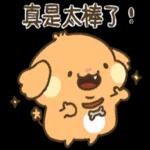 貴賓狗妞妞-好禮貌好親切