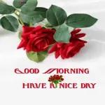 TRUST GOD NO MATTER WHAT